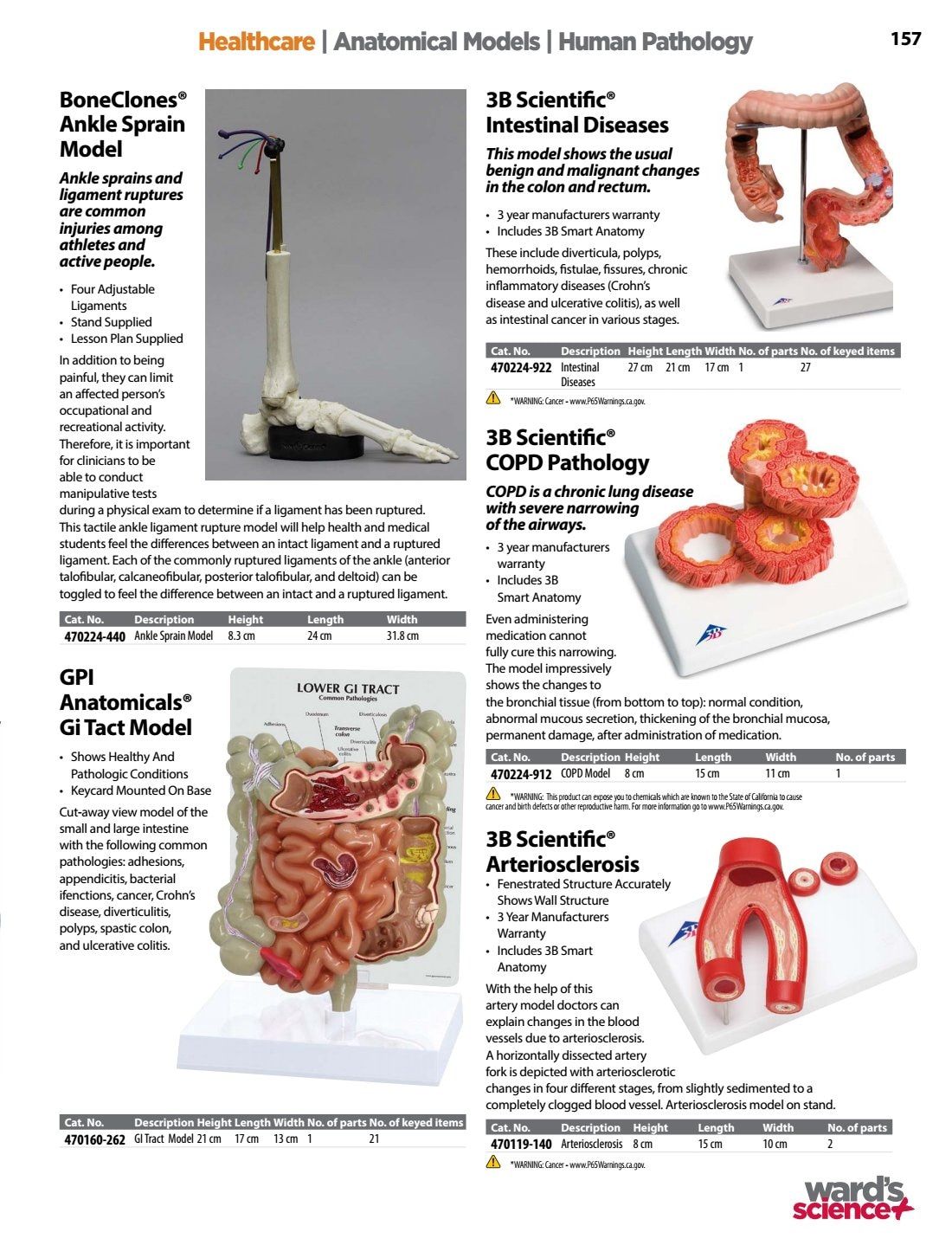 Ward's Science Healthcare & Medical Education Catalog Weekly Ad January 1 - December 31, 2026