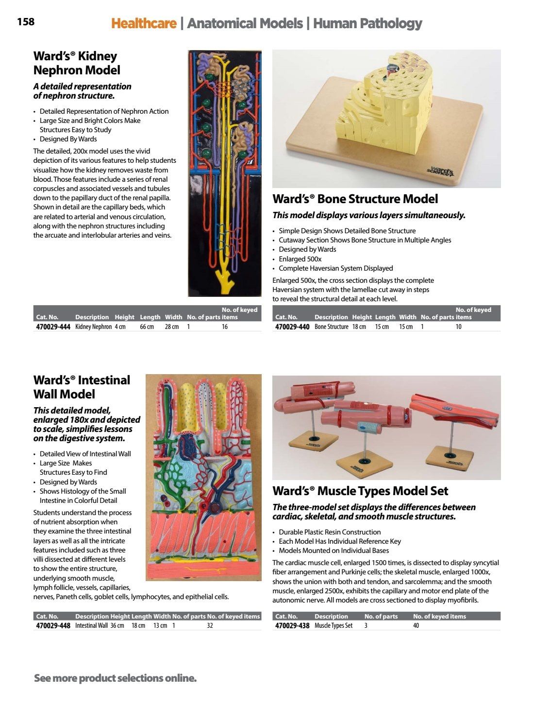 Ward's Science Healthcare & Medical Education Catalog Weekly Ad January 1 - December 31, 2026