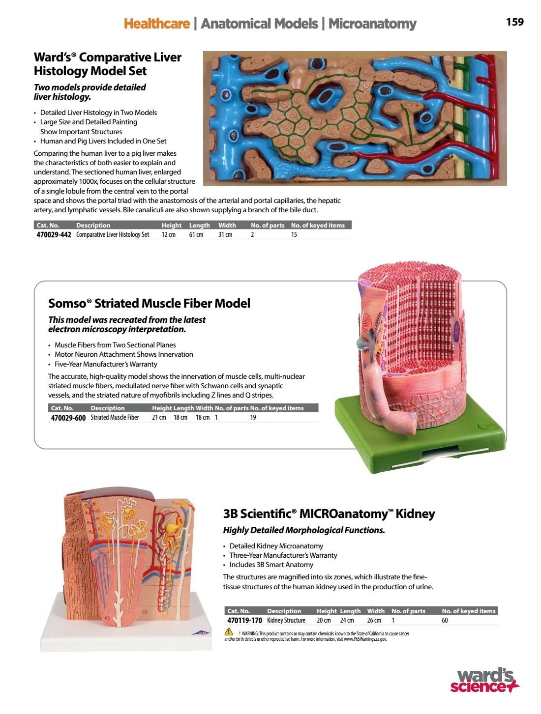 Ward's Science Healthcare & Medical Education Catalog Weekly Ad January 1 - December 31, 2026