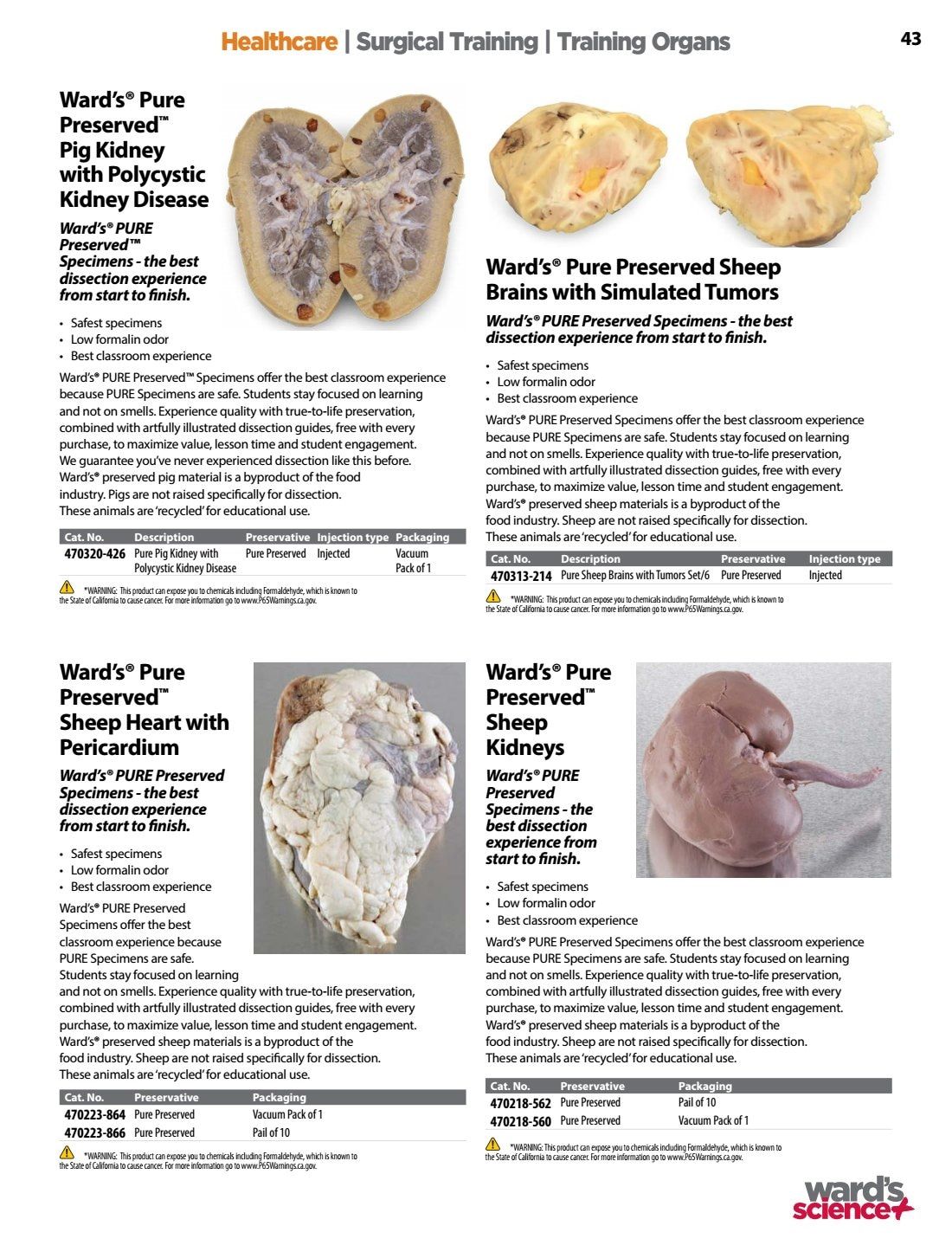 Ward's Science Healthcare & Medical Education Catalog Weekly Ad January 1 - December 31, 2026