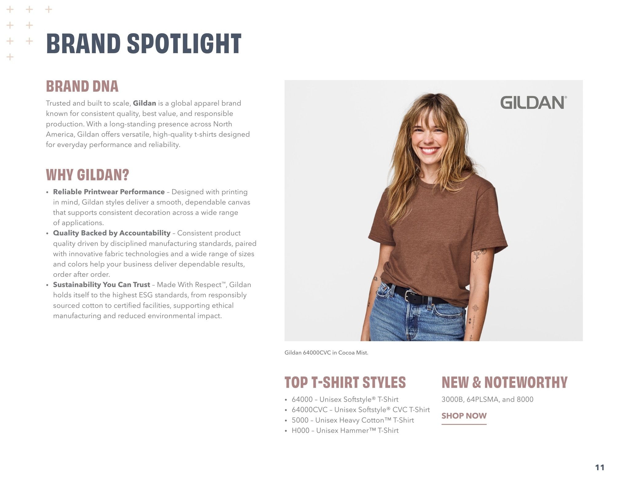 S&S Activewear T-Shirt Guide 2026 Weekly Ad August 13, 2026 - February 10, 2028
