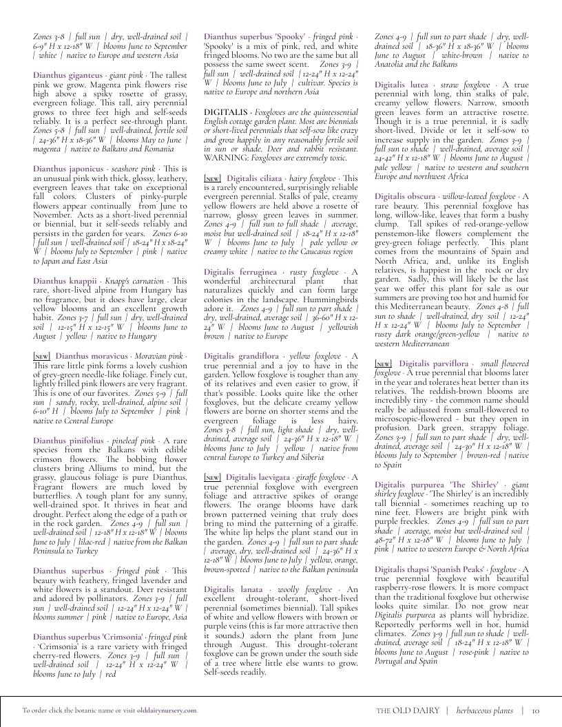 The Old Dairy Nursery & Gardens Garden Catalog Weekly Ad January 1 - December 31, 2026