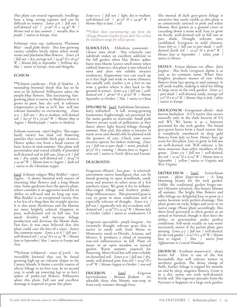 The Old Dairy Nursery & Gardens Garden Catalog Weekly Ad January 1 - December 31, 2026