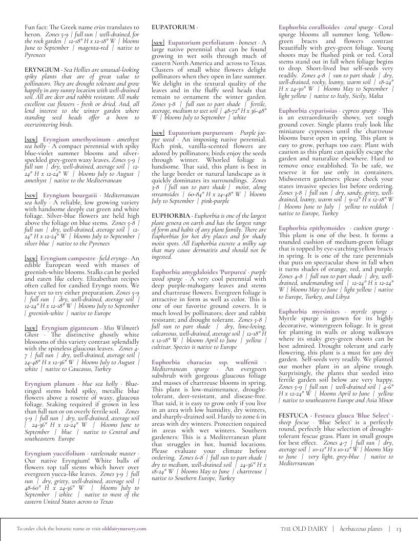 The Old Dairy Nursery & Gardens Garden Catalog Weekly Ad January 1 - December 31, 2026