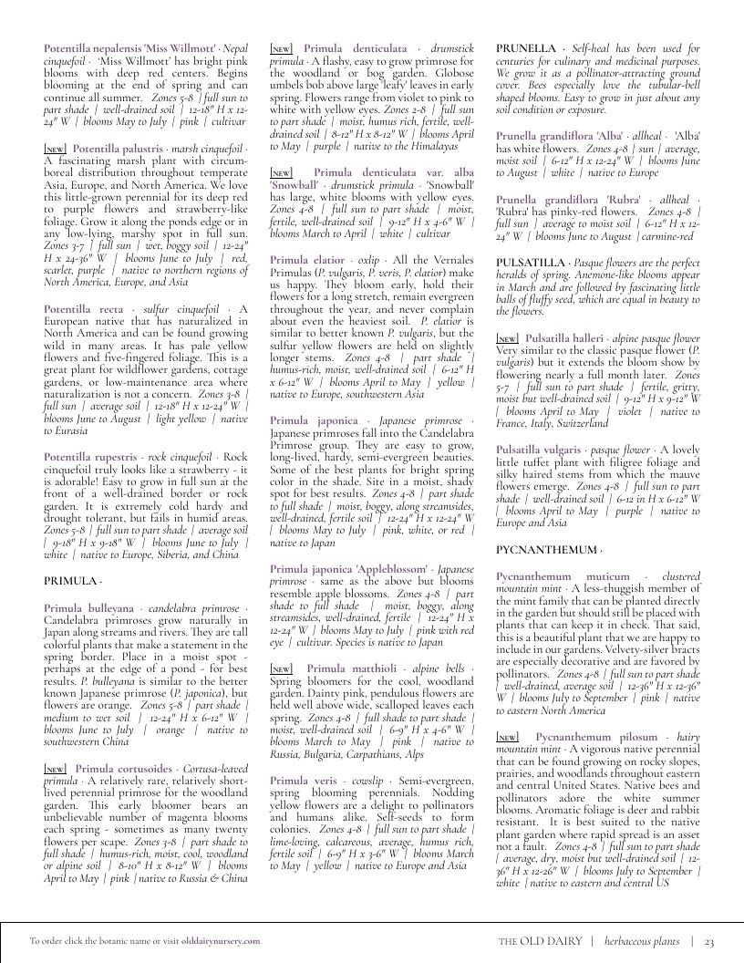 The Old Dairy Nursery & Gardens Garden Catalog Weekly Ad January 1 - December 31, 2026