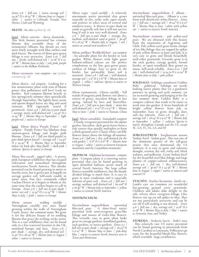 The Old Dairy Nursery & Gardens Garden Catalog Weekly Ad January 1 - December 31, 2026