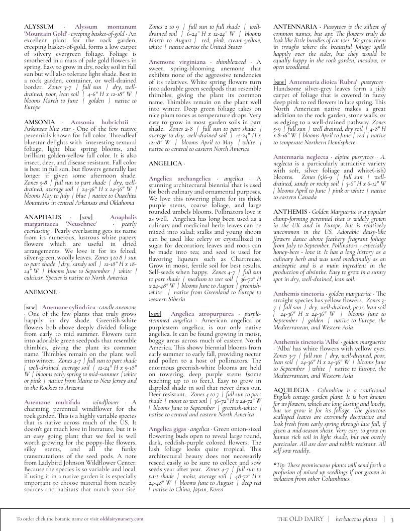 The Old Dairy Nursery & Gardens Garden Catalog Weekly Ad January 1 - December 31, 2026