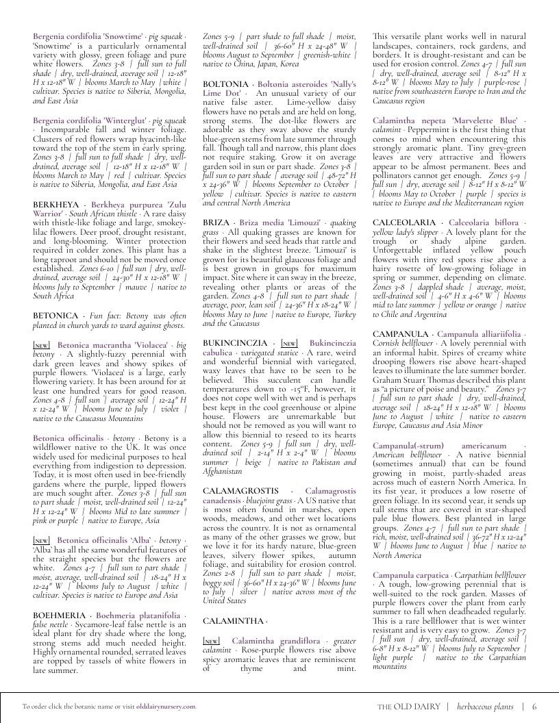 The Old Dairy Nursery & Gardens Garden Catalog Weekly Ad January 1 - December 31, 2026