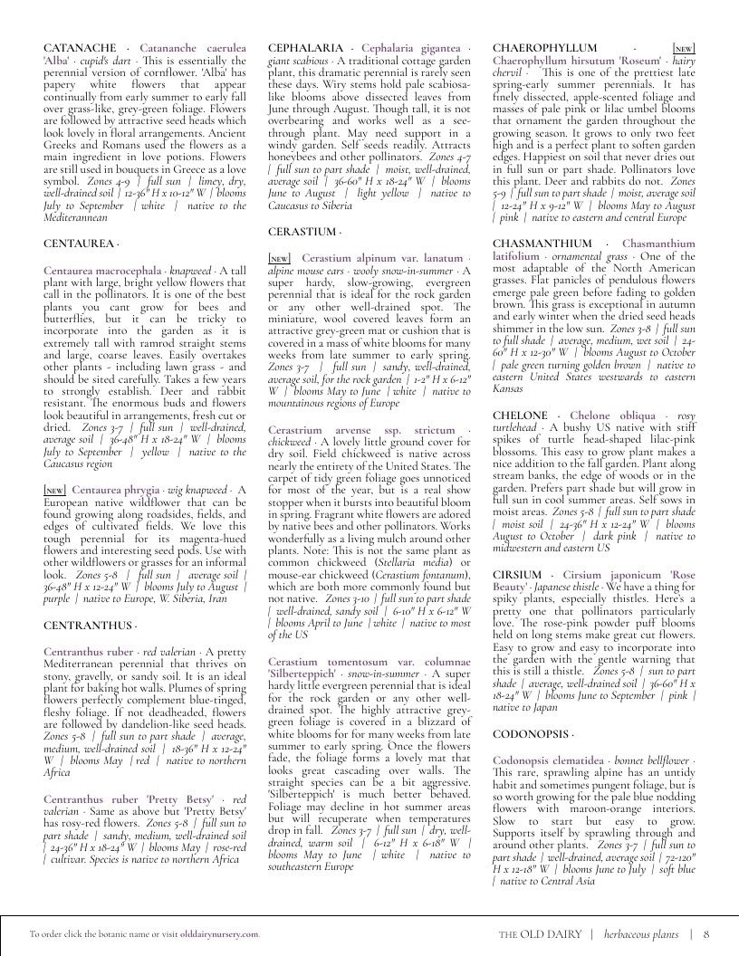 The Old Dairy Nursery & Gardens Garden Catalog Weekly Ad January 1 - December 31, 2026