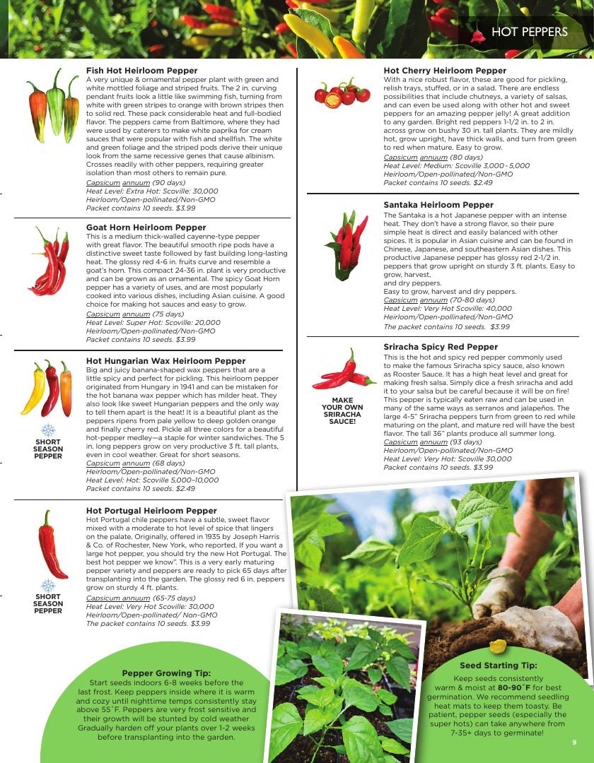 Sandia Seed Company Seed Catalog Weekly Ad January 1 - December 31, 2026