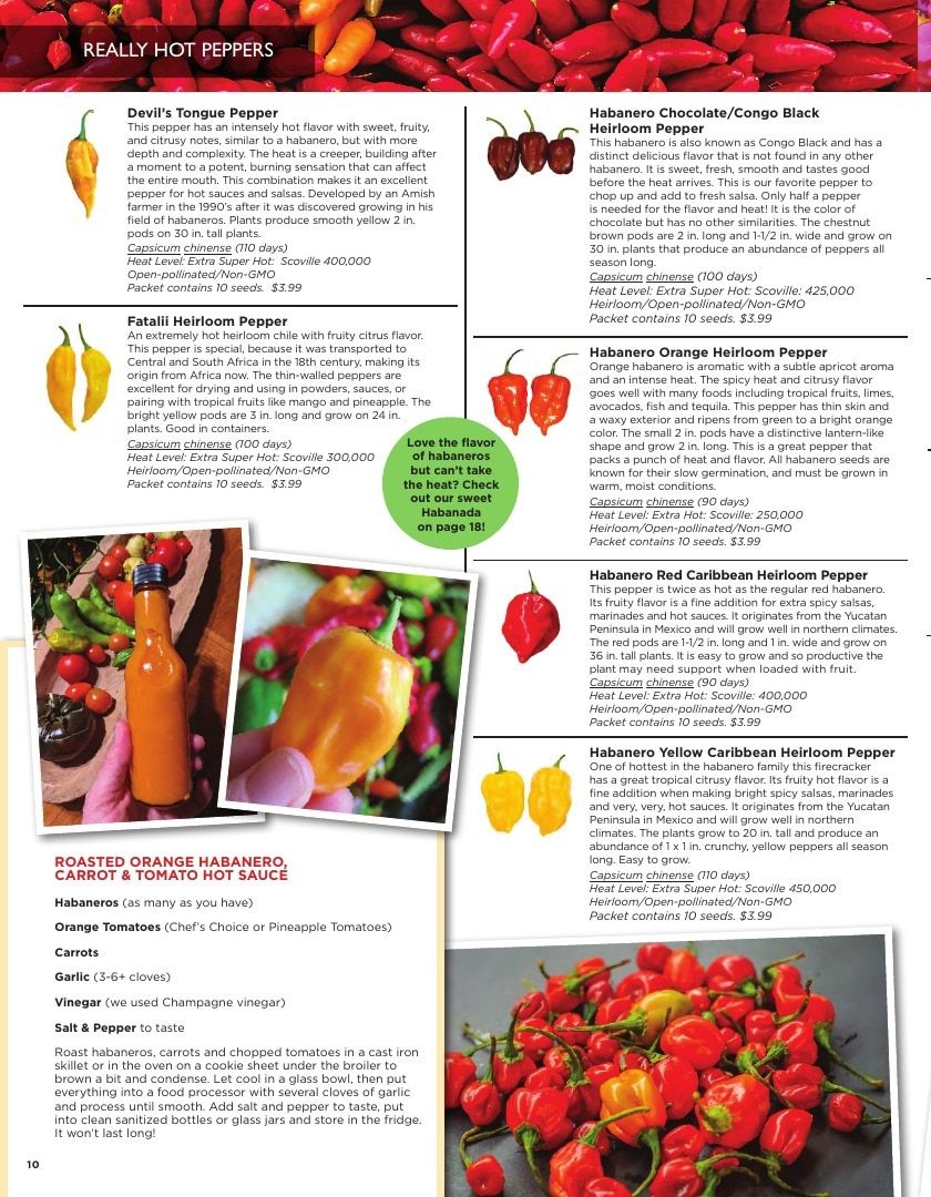 Sandia Seed Company Seed Catalog Weekly Ad January 1 - December 31, 2026