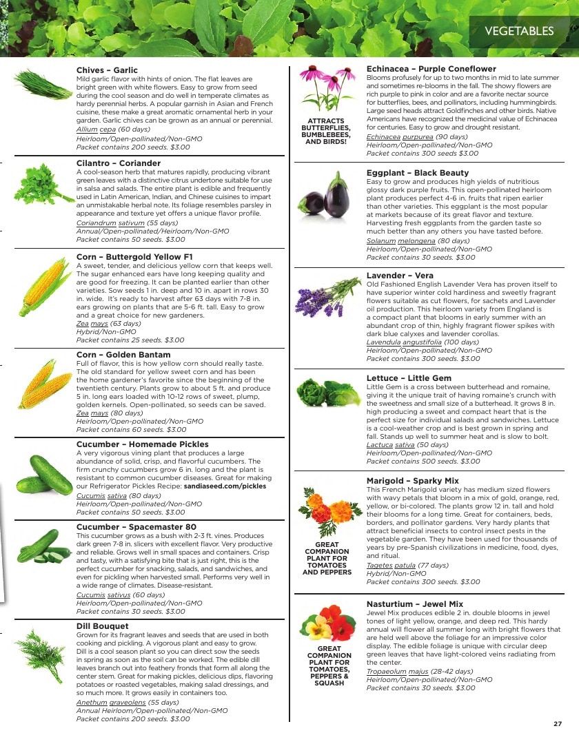 Sandia Seed Company Seed Catalog Weekly Ad January 1 - December 31, 2026