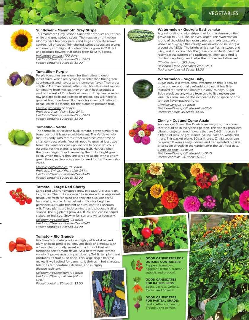 Sandia Seed Company Seed Catalog Weekly Ad January 1 - December 31, 2026