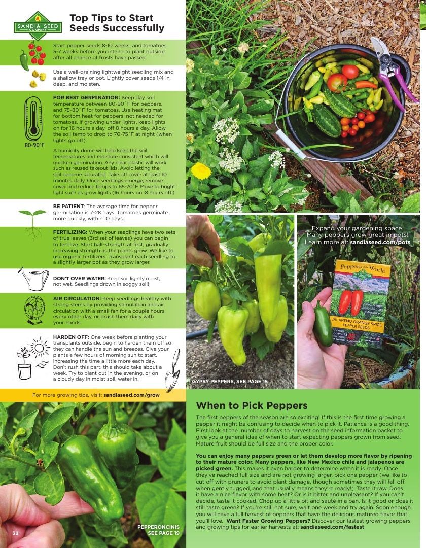 Sandia Seed Company Seed Catalog Weekly Ad January 1 - December 31, 2026