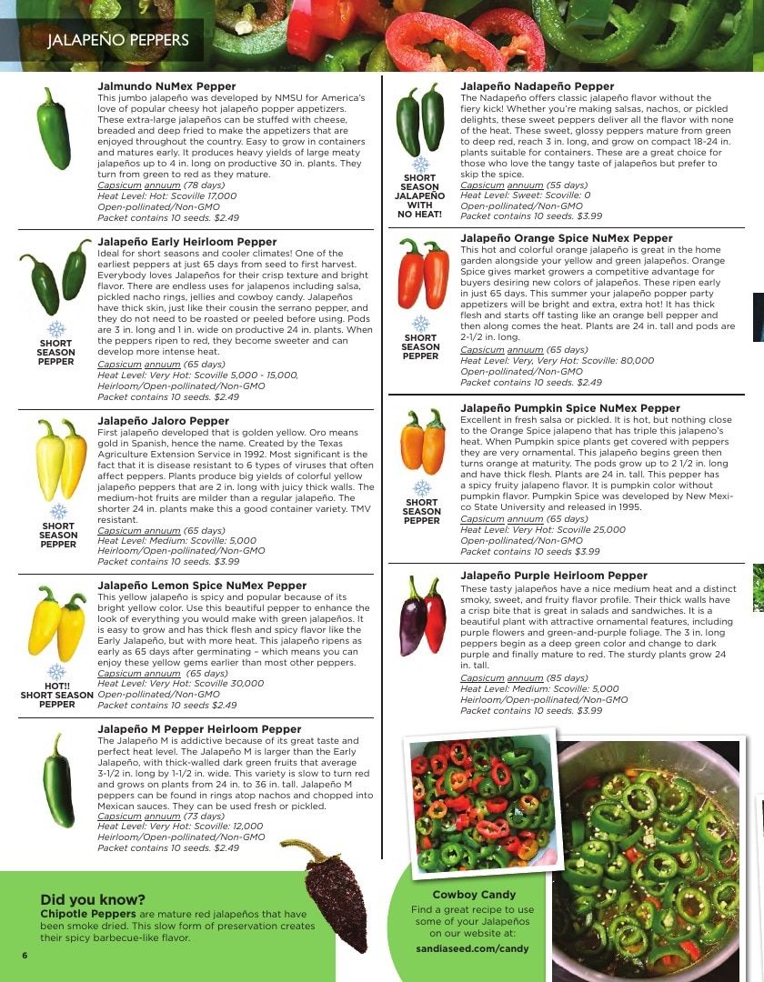 Sandia Seed Company Seed Catalog Weekly Ad January 1 - December 31, 2026