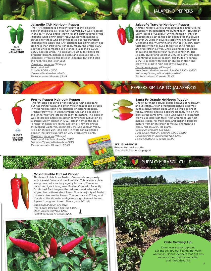 Sandia Seed Company Seed Catalog Weekly Ad January 1 - December 31, 2026