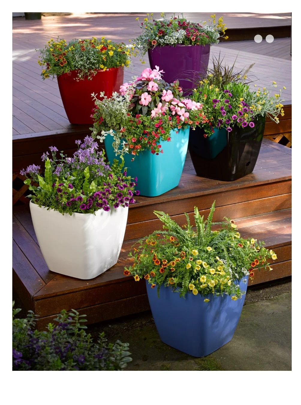 Gardener's Supply Company April 2026 Catalog Weekly Ad January 1 - December 31, 2026