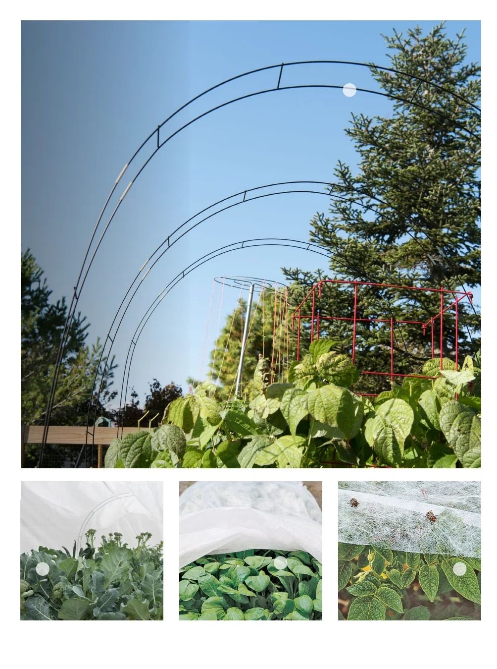 Gardener's Supply Company January 2026 Catalog Weekly Ad January 1 - December 31, 2026