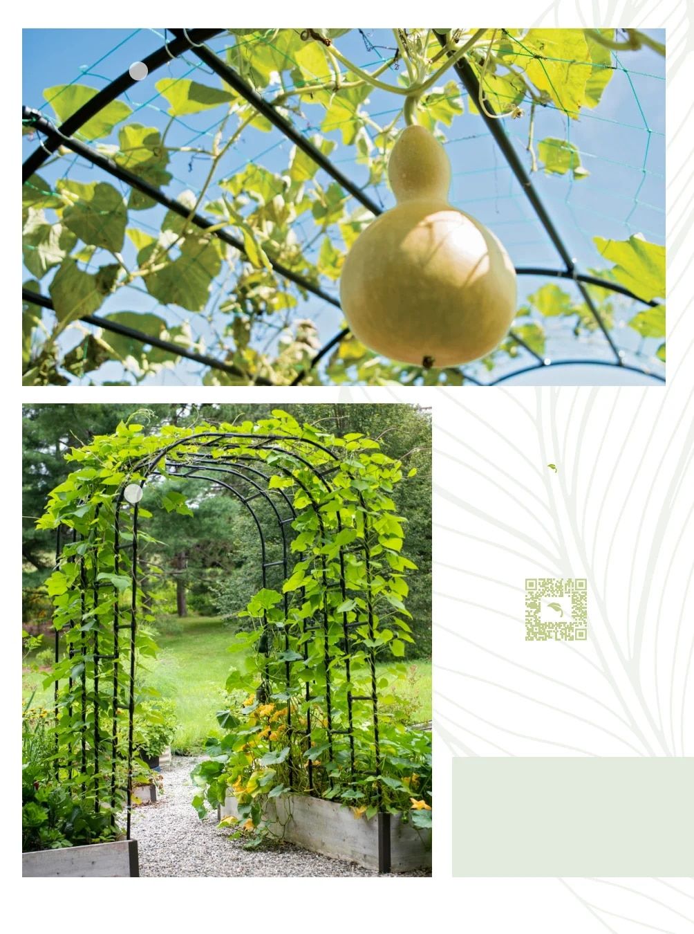 Gardener's Supply Company January 2026 Catalog Weekly Ad January 1 - December 31, 2026