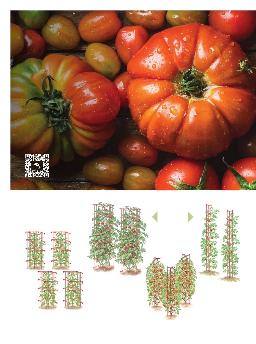 Gardener's Supply Company January 2026 Catalog Weekly Ad January 1 - December 31, 2026