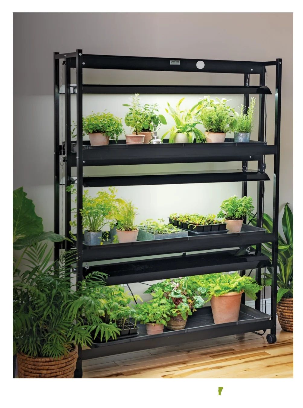 Gardener's Supply Company January 2026 Catalog Weekly Ad January 1 - December 31, 2026