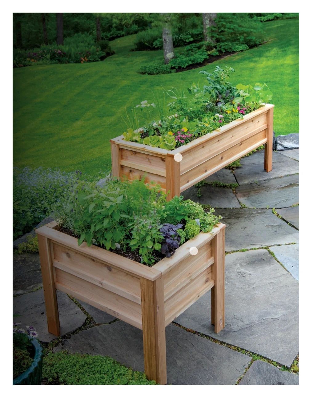 Gardener's Supply Company March 2026 Catalog Weekly Ad January 1 - December 31, 2026