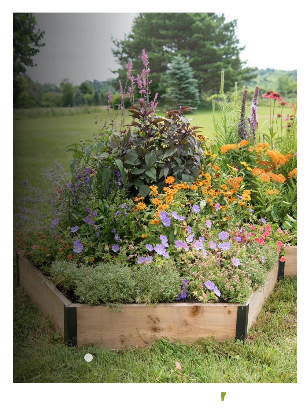 Gardener's Supply Company March 2026 Catalog Weekly Ad January 1 - December 31, 2026