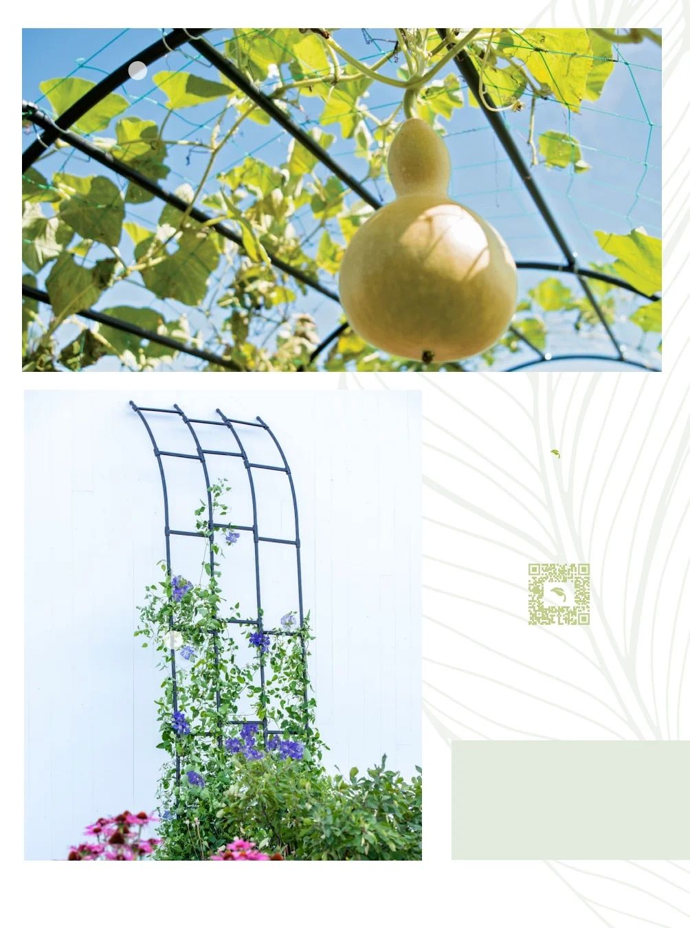 Gardener's Supply Company March 2026 Catalog Weekly Ad January 1 - December 31, 2026