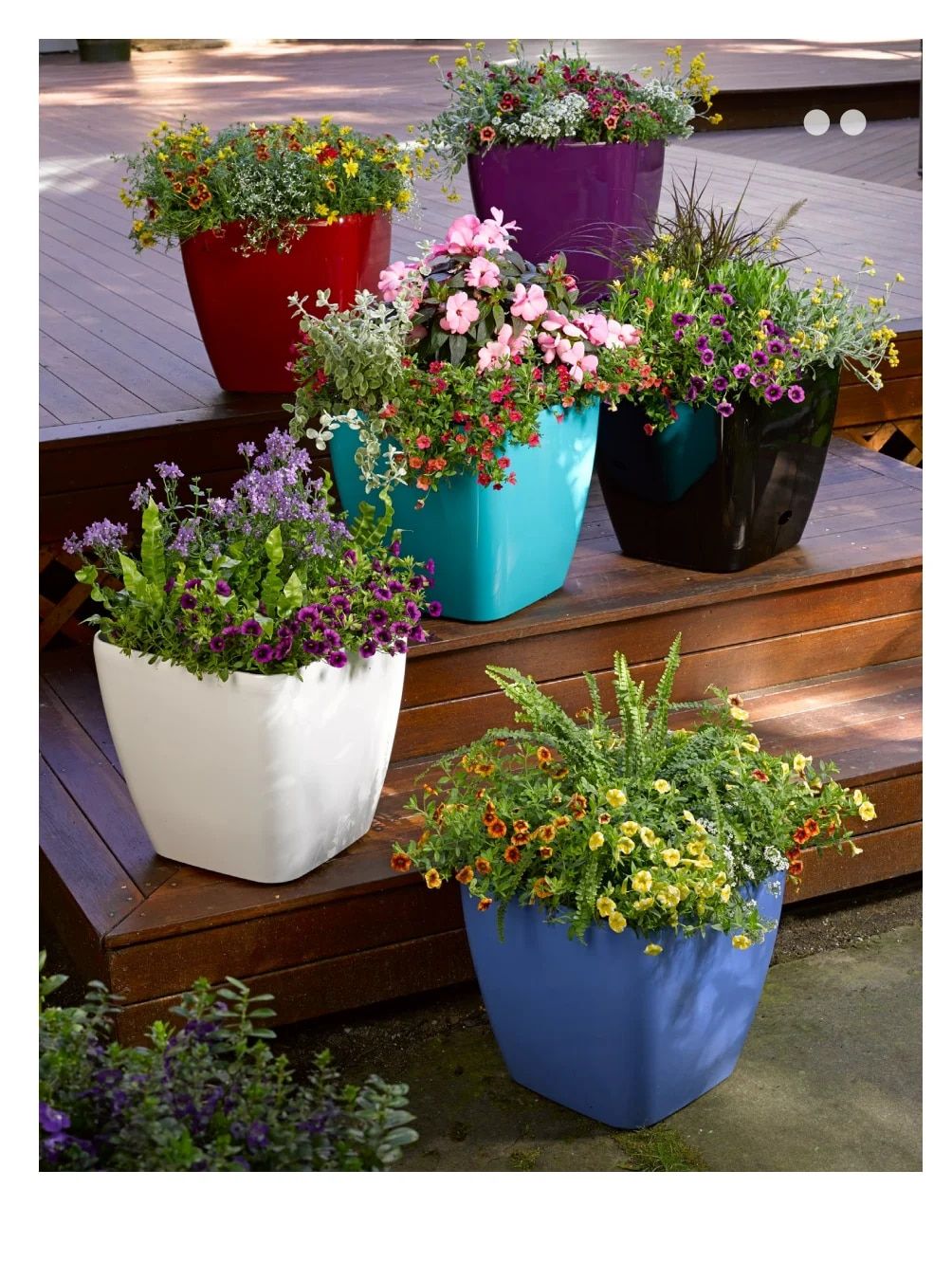 Gardener's Supply Company March 2026 Catalog Weekly Ad January 1 - December 31, 2026