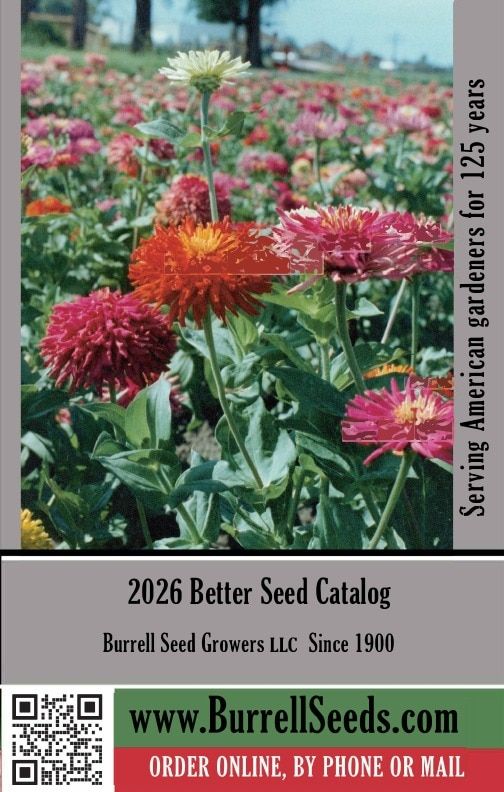 Burrell Seed Growers Seed Catalog Weekly Ad January 1 - December 31, 2026