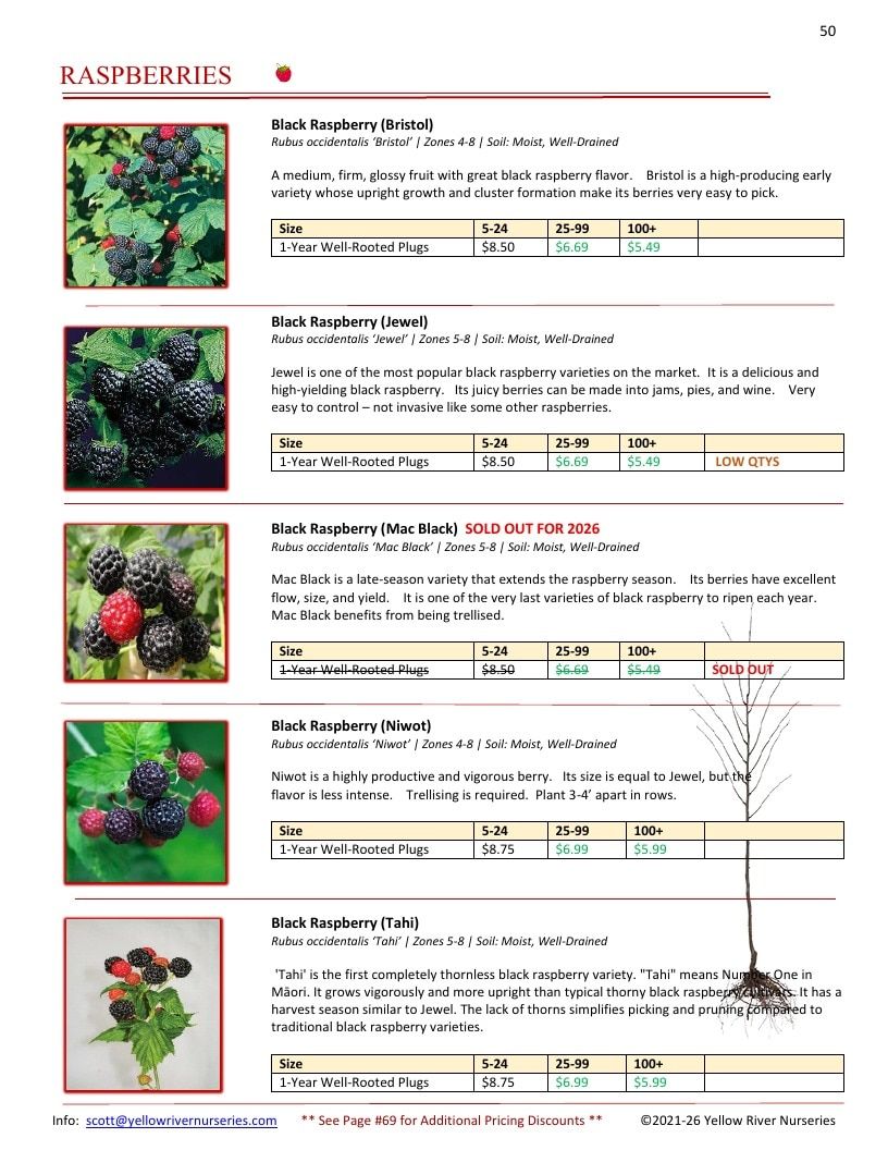 Yellow River Nurseries Garden Catalog Weekly Ad January 1 - December 31, 2026