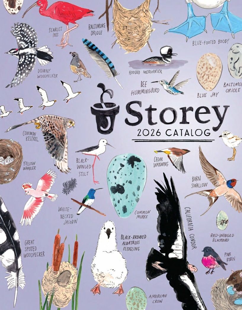 Storey Publishing Book Catalog Weekly Ad January 1 - December 31, 2026