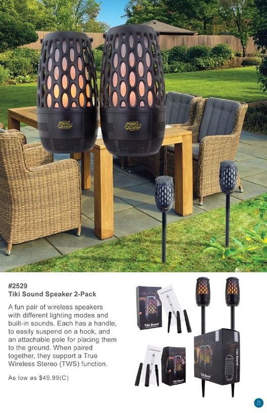 Twintech Promotional Summer Technology Catalog Weekly Ad January 1 - December 31, 2026