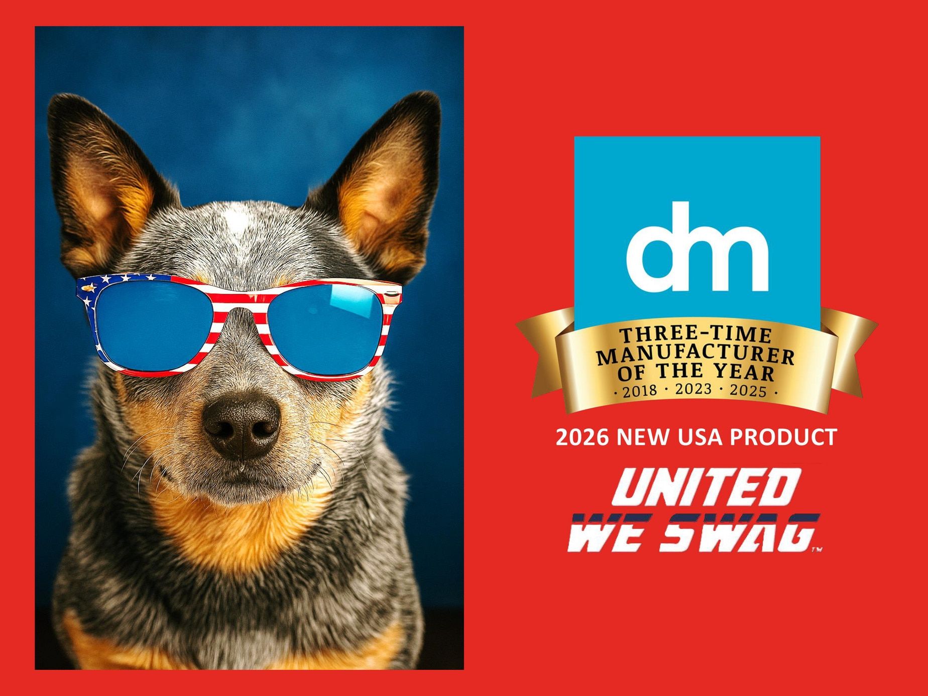 DM Merchandising USA Products Catalog Weekly Ad January 1 - December 31, 2026