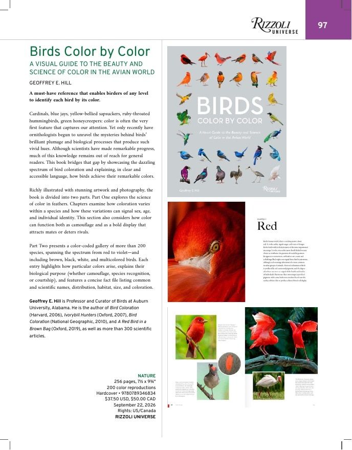 Rizzoli New York Fall 2026 Catalog Weekly Ad January 1 - December 31, 2026
