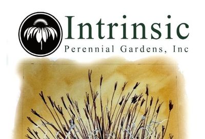 Intrinsic Perennial Gardens Perennial Catalog Weekly Ad January 1 - December 31, 2026