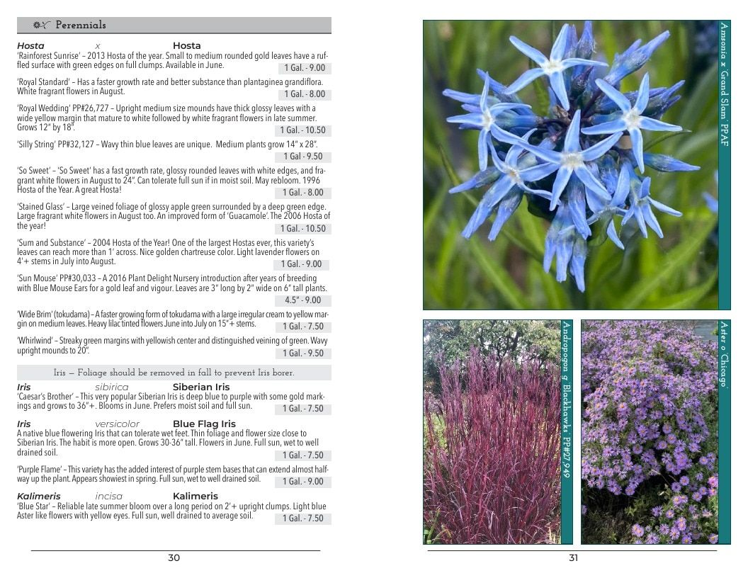 Intrinsic Perennial Gardens Perennial Catalog Weekly Ad January 1 - December 31, 2026