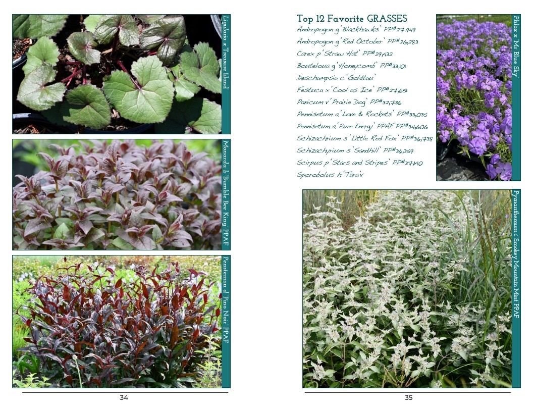 Intrinsic Perennial Gardens Perennial Catalog Weekly Ad January 1 - December 31, 2026