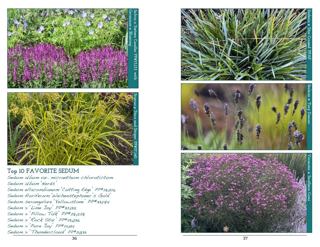Intrinsic Perennial Gardens Perennial Catalog Weekly Ad January 1 - December 31, 2026