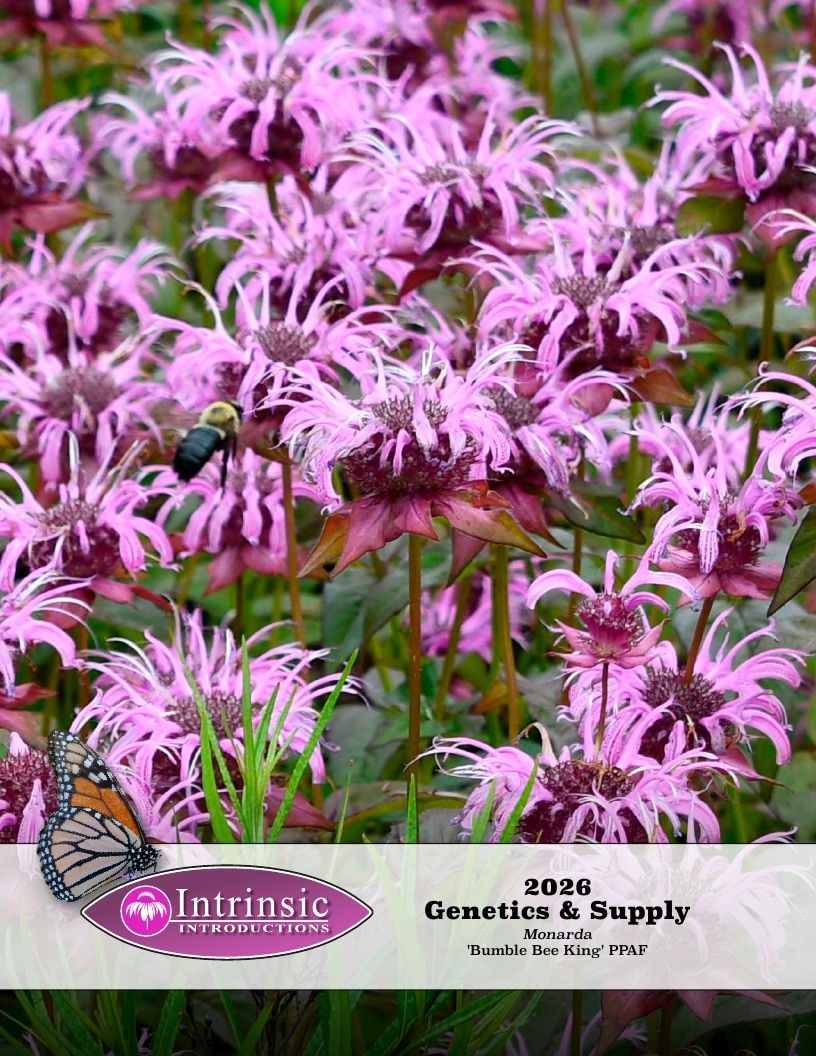 Intrinsic Perennial Gardens Plant Introductions Catalog Weekly Ad January 1 - December 31, 2026