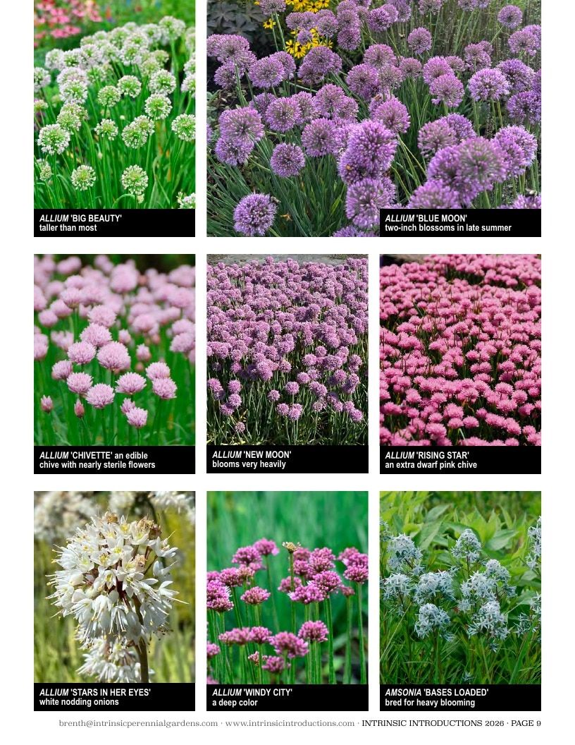 Intrinsic Perennial Gardens Plant Introductions Catalog Weekly Ad January 1 - December 31, 2026