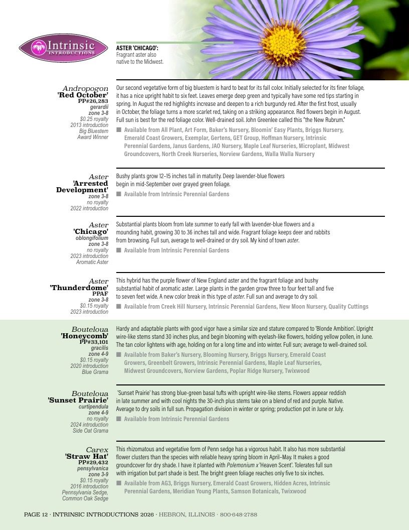 Intrinsic Perennial Gardens Plant Introductions Catalog Weekly Ad January 1 - December 31, 2026
