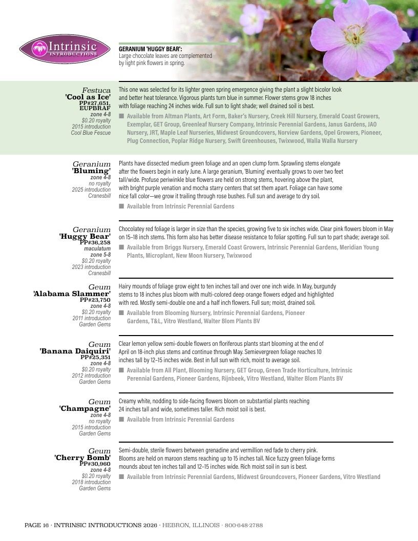 Intrinsic Perennial Gardens Plant Introductions Catalog Weekly Ad January 1 - December 31, 2026