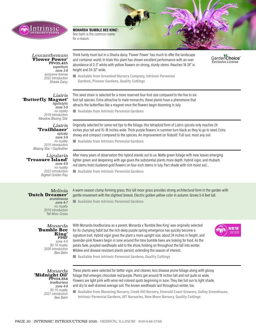 Intrinsic Perennial Gardens Plant Introductions Catalog Weekly Ad January 1 - December 31, 2026