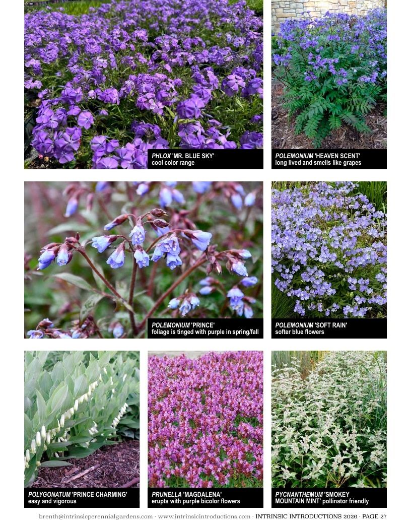 Intrinsic Perennial Gardens Plant Introductions Catalog Weekly Ad January 1 - December 31, 2026