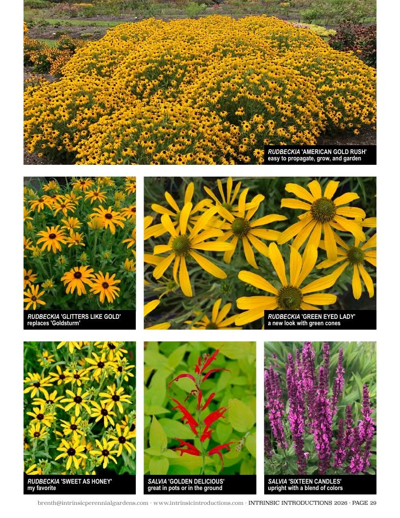 Intrinsic Perennial Gardens Plant Introductions Catalog Weekly Ad January 1 - December 31, 2026