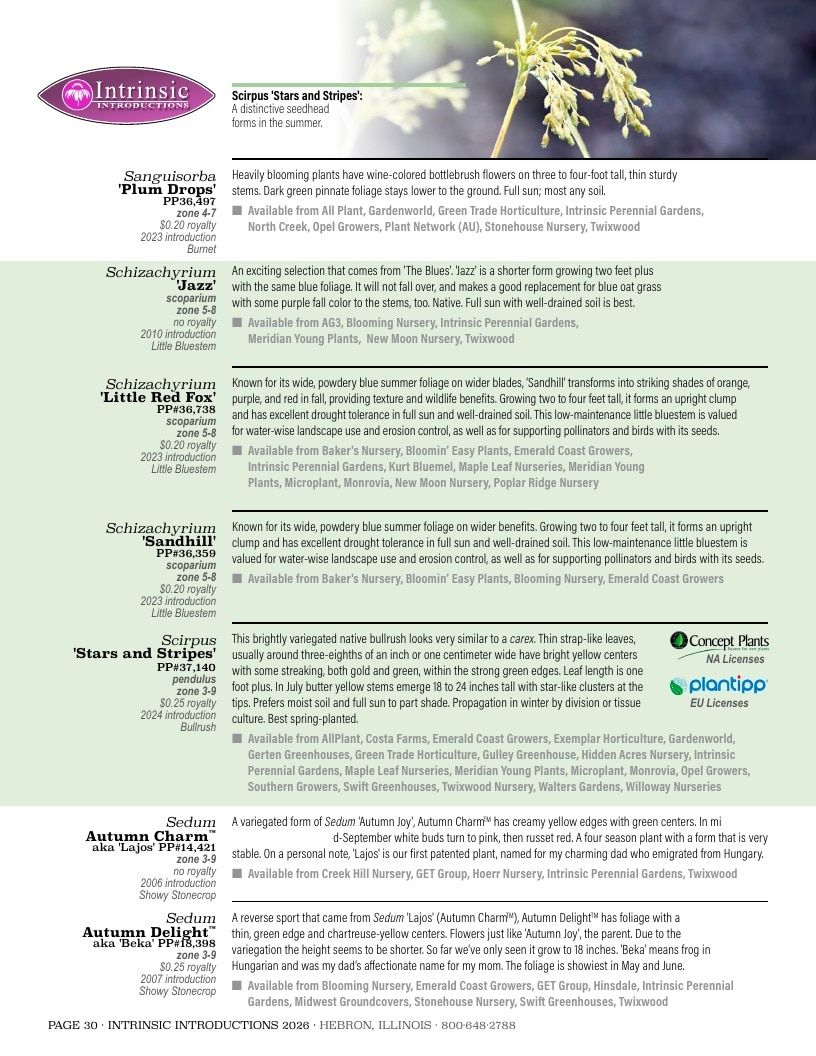Intrinsic Perennial Gardens Plant Introductions Catalog Weekly Ad January 1 - December 31, 2026