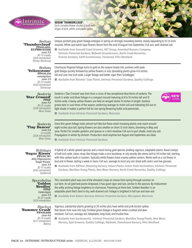 Intrinsic Perennial Gardens Plant Introductions Catalog Weekly Ad January 1 - December 31, 2026
