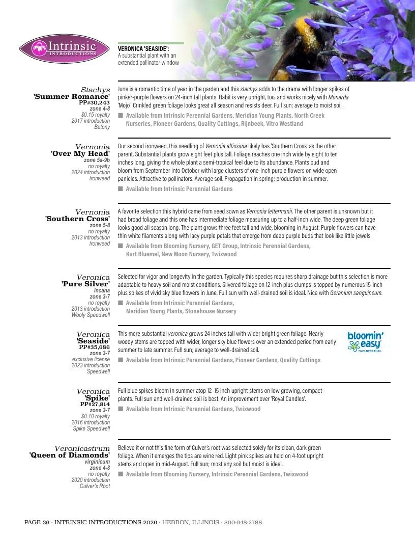 Intrinsic Perennial Gardens Plant Introductions Catalog Weekly Ad January 1 - December 31, 2026