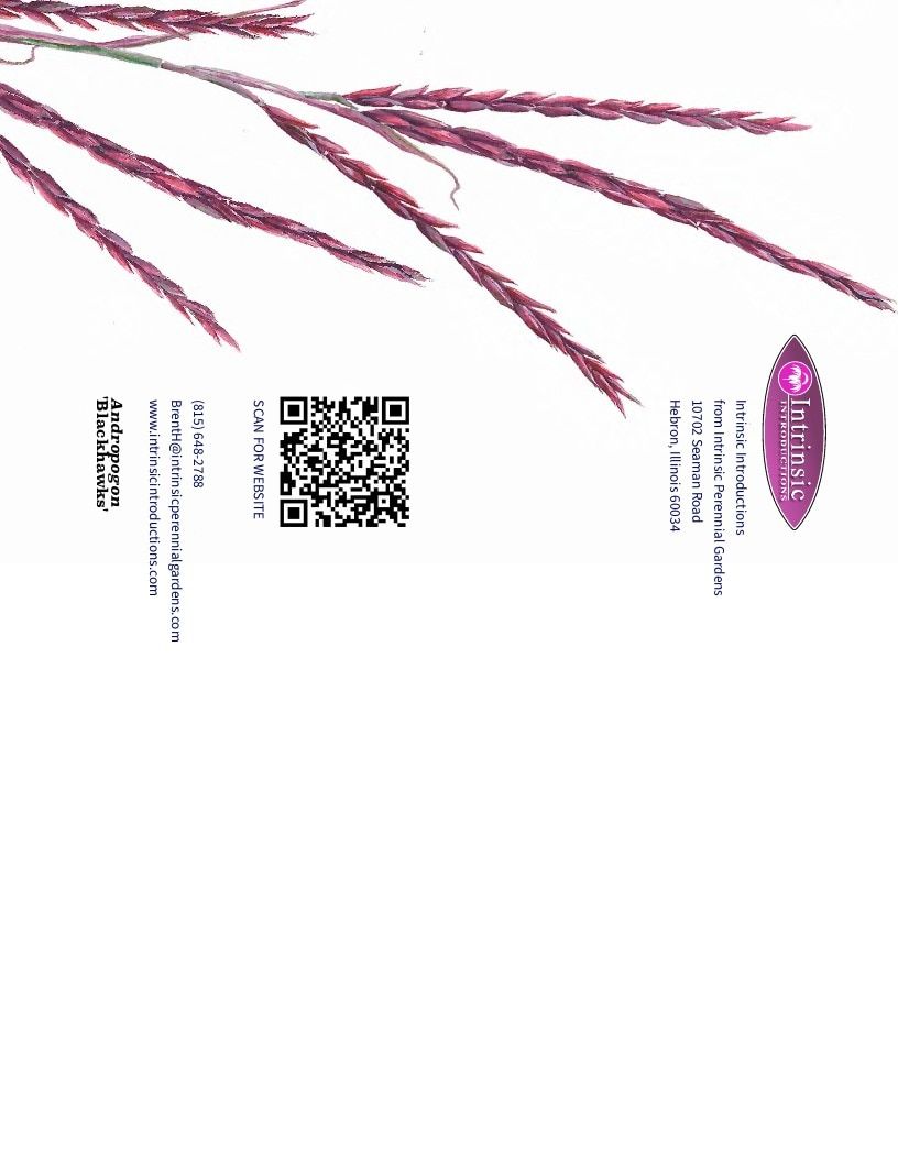 Intrinsic Perennial Gardens Plant Introductions Catalog Weekly Ad January 1 - December 31, 2026